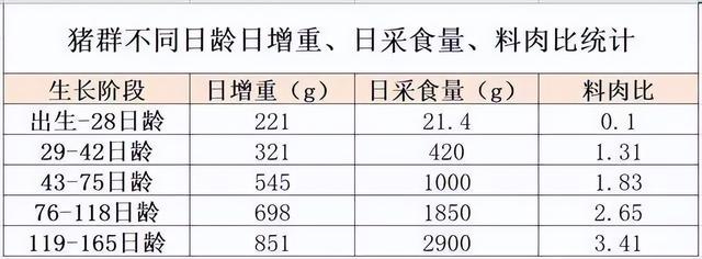 为什么猪每天吃草，吃糠这些低热量没营养的东西，还能长这么肥？