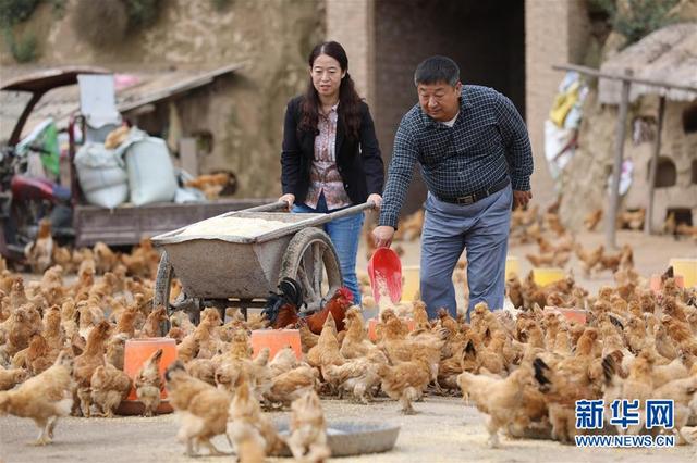 建好生态林 念起致富经