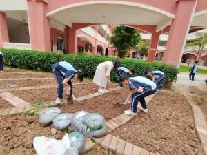 南宁中药种植(种花、种蔬菜、种中草药……南宁这所学校建设种植园 以劳养德促成长)