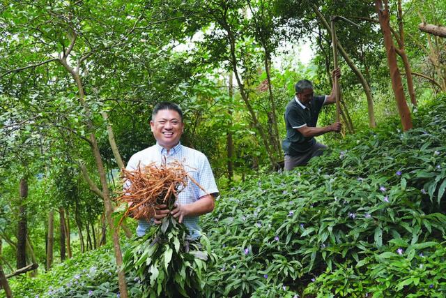 中药类专业解读：中草药栽培与鉴定