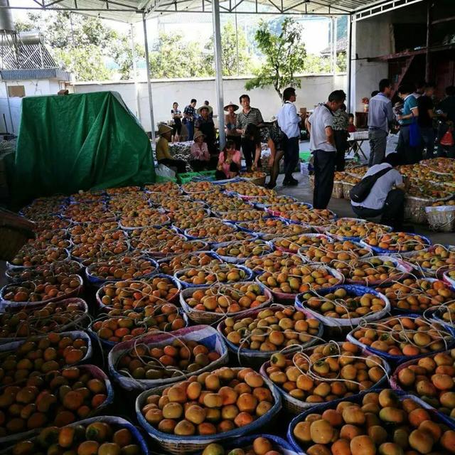 风味云南，真“柿”太好吃了