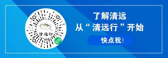 惊艳！超100万朵禾雀花绽放！就在市区这个地方！