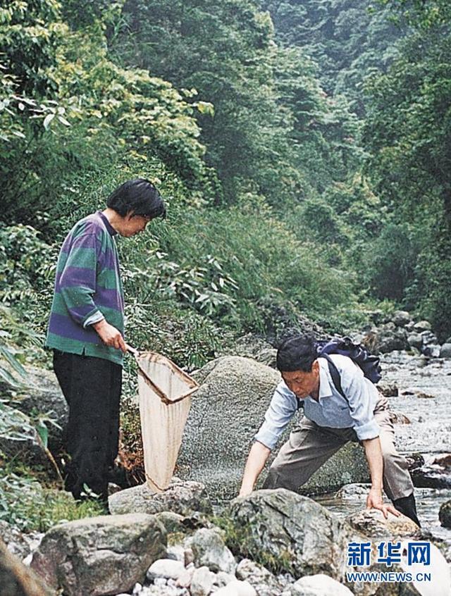 “80后”夫妻的“探蛙”人生