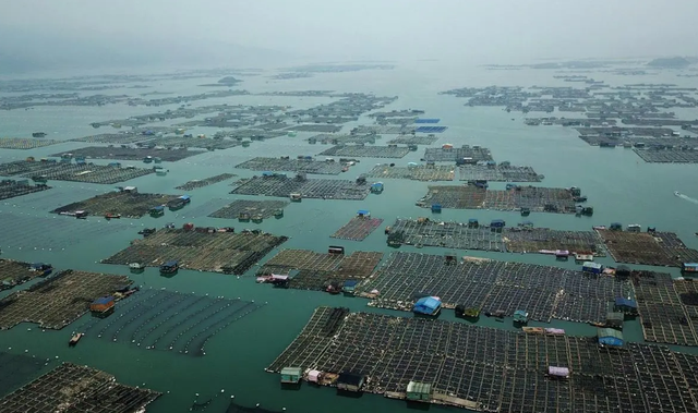 不同EM菌剂与养殖水体水质，对海参生长性能及免疫力有什么影响？