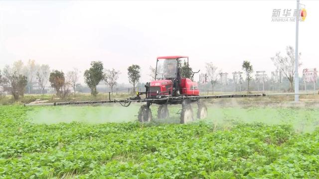 新华全媒+｜陕西汉中：机械化让114万亩油菜高效播栽 打下丰产基础