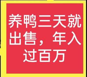 养殖鸭视频在线观看(鸭苗养殖三天就能出售？湖南一农民养殖雏鸭，带领村民一起致富)