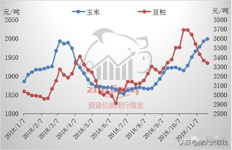 养殖成本增加，育肥户再陷亏损，猪价前路如何？