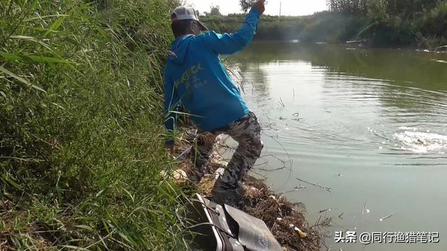 如何钓鲤鱼？五个技巧送给你，别把简单的事儿想复杂了