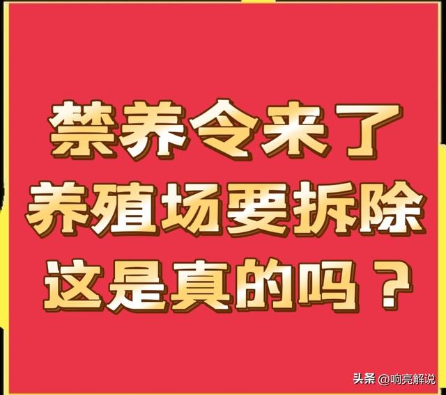 禁养令来了！符合这3种情况的养殖户，将成为首批禁止养殖的对象