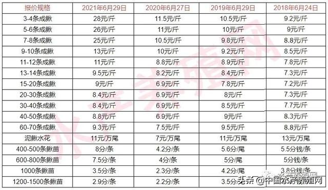 一天一个价！两周涨12元，大泥鳅冲击30元！泥鳅苗供不应求