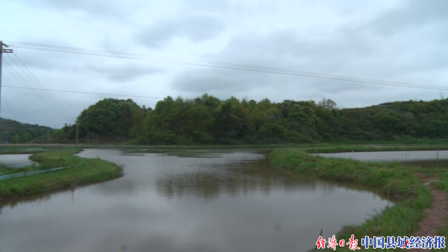 湖南祁阳小龙虾开启村民“致富门”