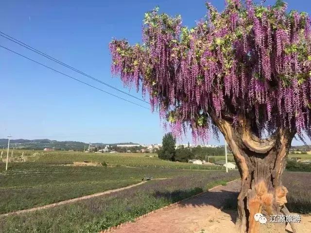 辽源旅游最全攻略！多条线路可选！