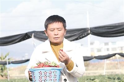 领跑乡村振兴的农场主