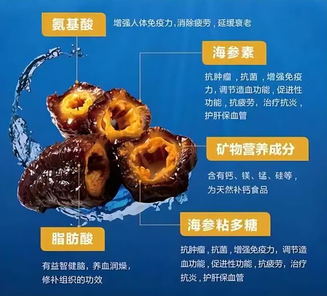 不同EM菌剂与养殖水体水质，对海参生长性能及免疫力有什么影响？