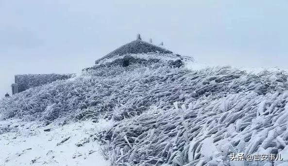 我叫吉安，这是我的简历，请多多关照