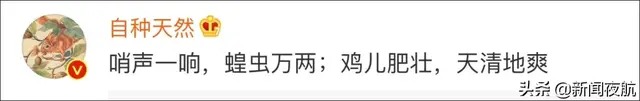 谁能想到，我国人民治理蝗虫的方法是养鸡鸭…