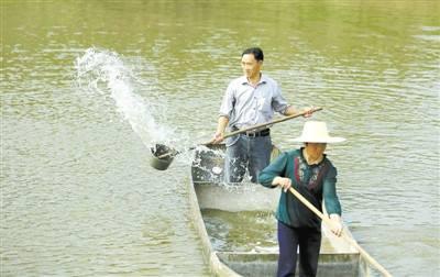 新开龙虾养殖池塘，看完这篇文章，消毒不再愁