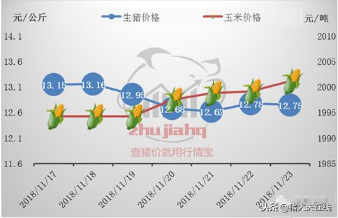 养殖成本增加，育肥户再陷亏损，猪价前路如何？