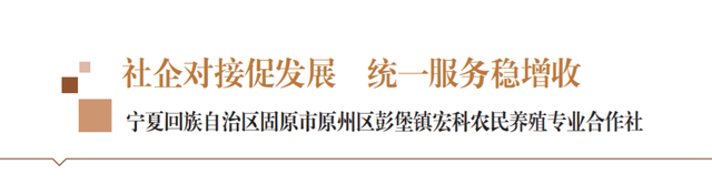 社企对接促发展 统一服务稳增收——宁夏回族自治区固原市原州区彭堡镇宏科农民养殖专业合作社