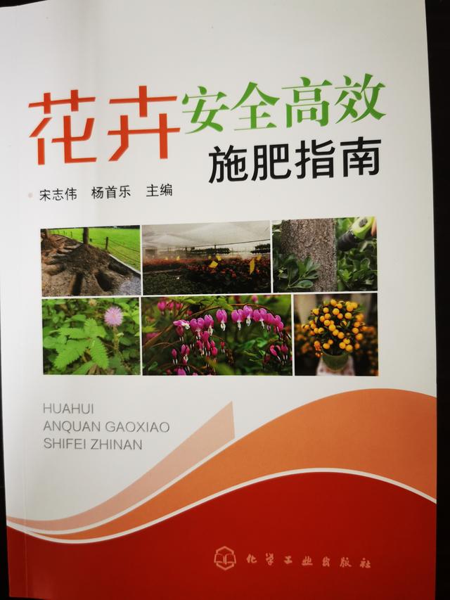 一日一花科学施肥：5.桂花高效安全施肥技术