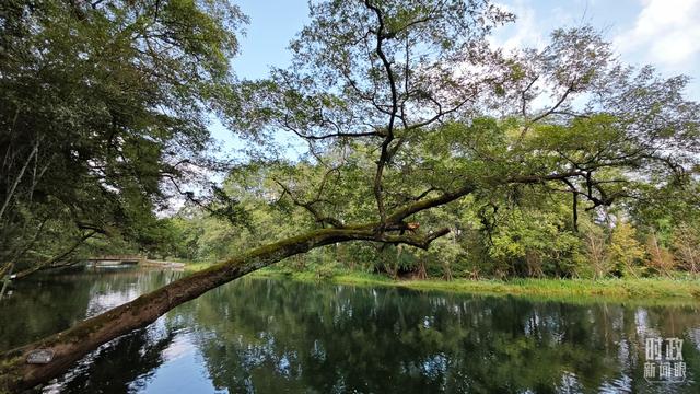 时政新闻眼丨习近平江西考察第二天，聚焦四个关键词