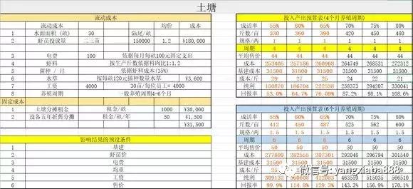 这种虾近百元一斤！养殖技术现公开如下...