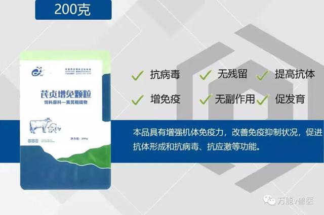 一个农户自繁自养一头母猪，一年能赚多少钱？