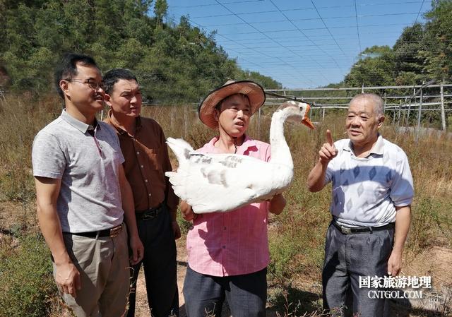 闽西连城县温盛斌 探寻原生态富民之路