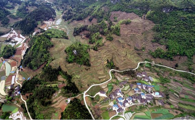 余庆一种养大户，林下养殖，养出好“钱景”