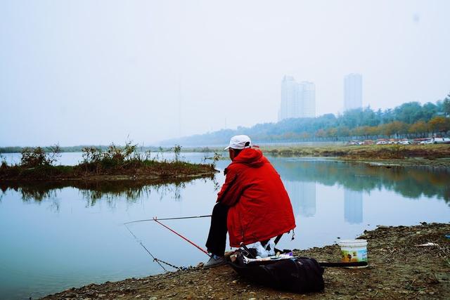 桑葚饵——打破固有的草鱼钓饵，深度解析其特点跟应用场景