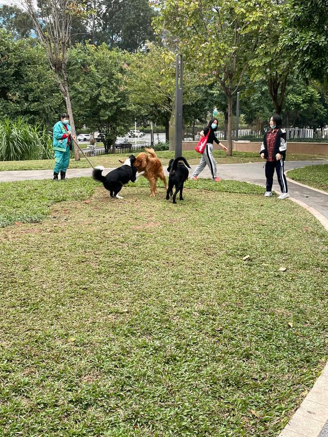 深圳市首个以宠物为主题的公园—深圳福田宠物主题园