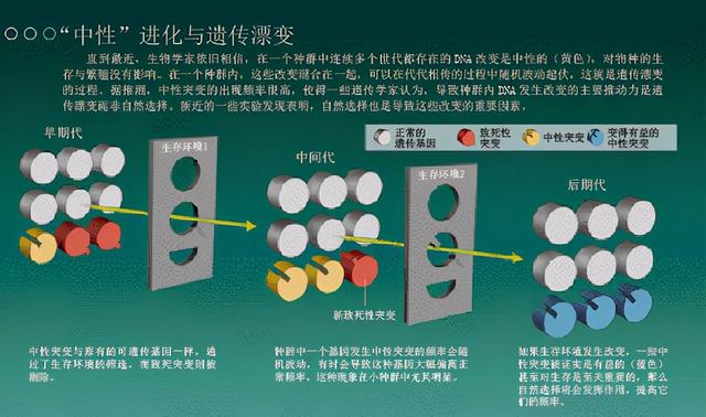 局部泛滥的野猪，为什么是我国三有保护动物？