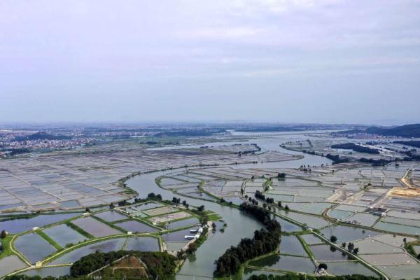 福建福清：鳗鱼淡水养殖助推乡村振兴