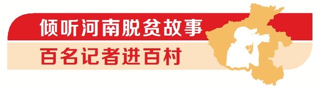 百名记者进百村｜渚清沙白“鹭”飞回