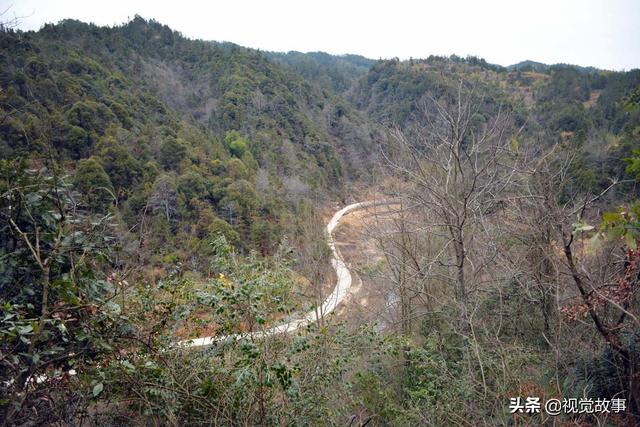 村民在池塘里养鱼，水鸟常光顾，看其怎样处理