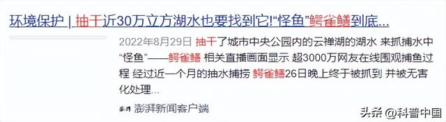 为何放生25000斤鲶鱼被罚5.8万？因为这种行为比“杀生”可怕多了