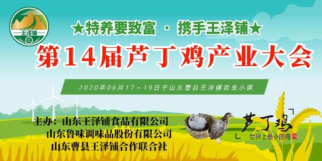 全国首家芦丁鸡养殖专家咨询热线开通六个月受益数千人