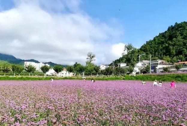 坐西成高铁去旅行7丨登山、戏水、最美乡村游……尽在留坝