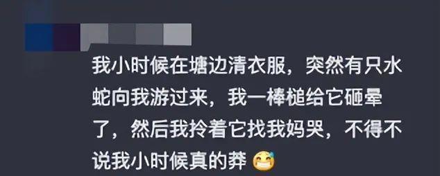 浙江男子野泳遇长蛇！水蛇无毒可食用？千万别，鸡冠蛇毒胜眼镜蛇