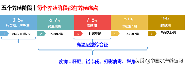 加州鲈养殖痛点剖析+风险规避要领，实战高手一文全解答