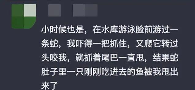 浙江男子野泳遇长蛇！水蛇无毒可食用？千万别，鸡冠蛇毒胜眼镜蛇