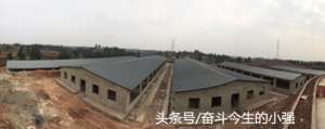 肉牛养殖牛栏建设图(看了这个我终于知道怎样建设规模化养殖场，这下可以大干一场了)