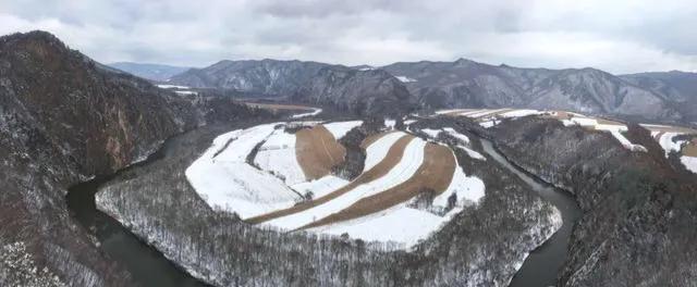 背包客在黑龙江绥芬河的森林里遇到黑熊，吓得屁滚尿流