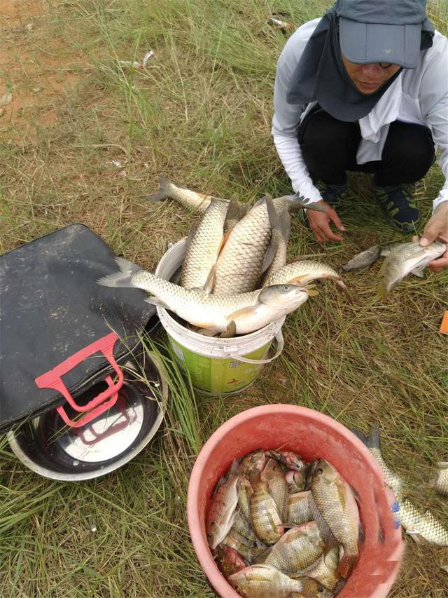 夏季野钓草鱼攻略，三个水层同时钓，一条就能爆护