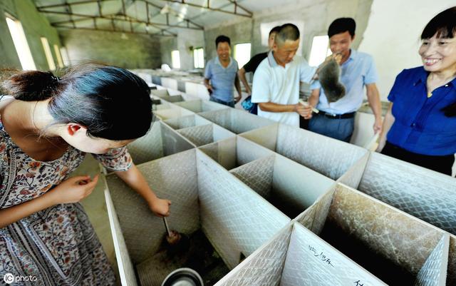 竹鼠养殖场，如何做好养殖池子，这些材料不合适使用，用了还浪费