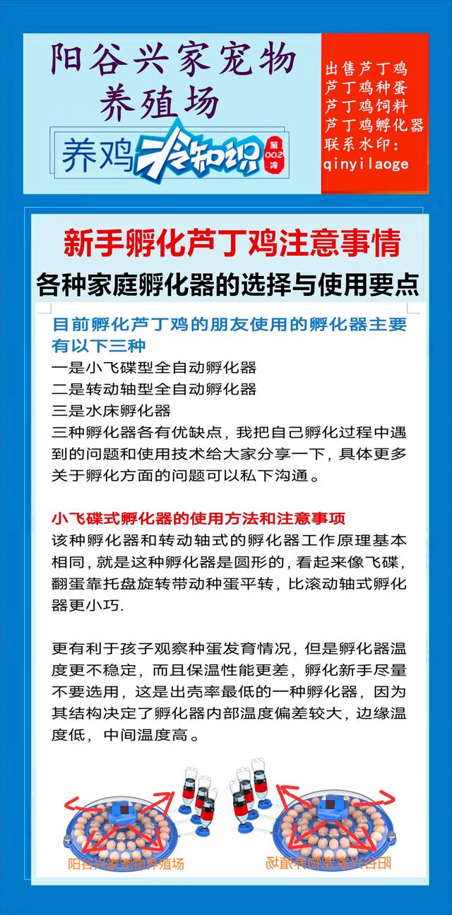 新手孵化芦丁鸡，各种家庭孵化器的选择与使用要点