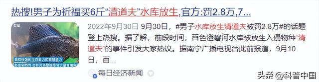 为何放生25000斤鲶鱼被罚5.8万？因为这种行为比“杀生”可怕多了