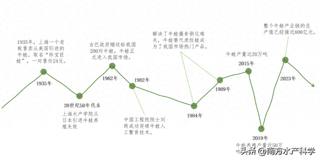 听取蛙声一片｜牛蛙养殖的绿色转型