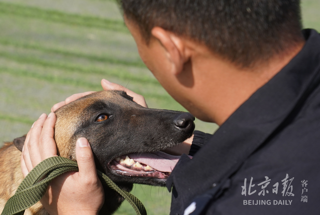 北京警犬训练基地用上了哪些高科技？现场独家揭秘