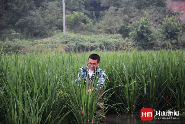 小康圆梦丨90后大学生返乡当起新型农民 带领乡亲逐梦“稻虾养殖”产业